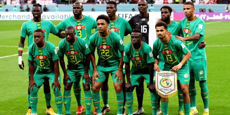 Lions-can-23-sengal