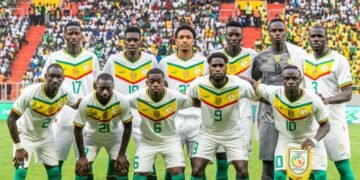 Lions-can-23-sengal