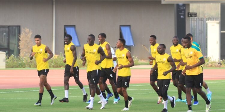 Début de regroupement : Premier entraînement léger pour les Lions à Diamniadio