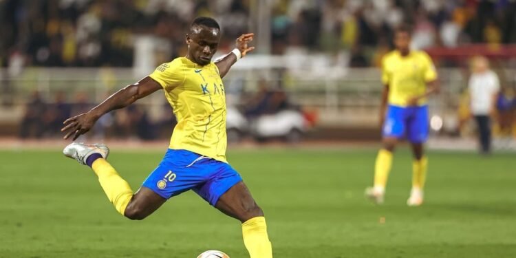 Week-end décisif des Lions !