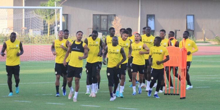 Équipe nationale : Quatre Lions ont manqué l’entraînement de ce jeudi