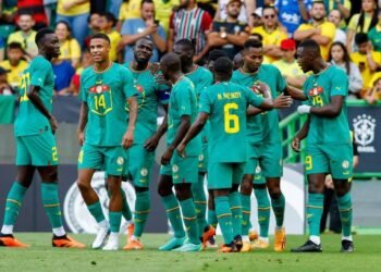 Vie de groupe en sélection : Des Lions, des coéquipiers et des copains