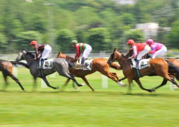 Courses hippiques (1ère journée) : Diofior ravit la vedette à Moubarak et El Capo