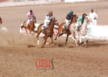 Courses hippiques  1ʳᵉ journée : Diofior ravit la vedette à Moubarak et El Capo