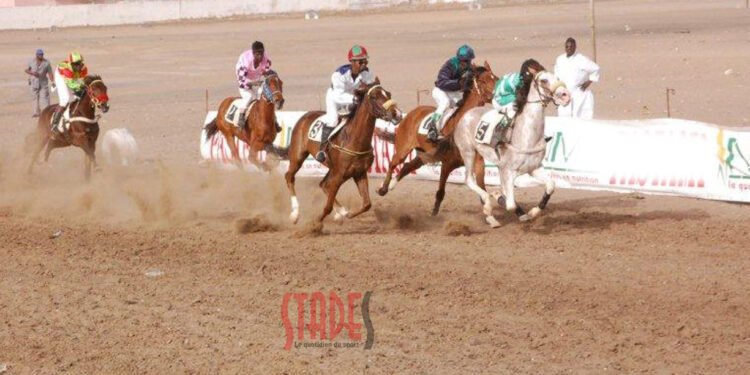 Courses hippiques  1ʳᵉ journée : Diofior ravit la vedette à Moubarak et El Capo