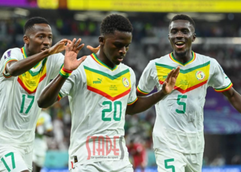 Dernier à rejoindre la Tanière, comme en 2022 : Bamba Dieng, le porte-bonheur des Lions ?