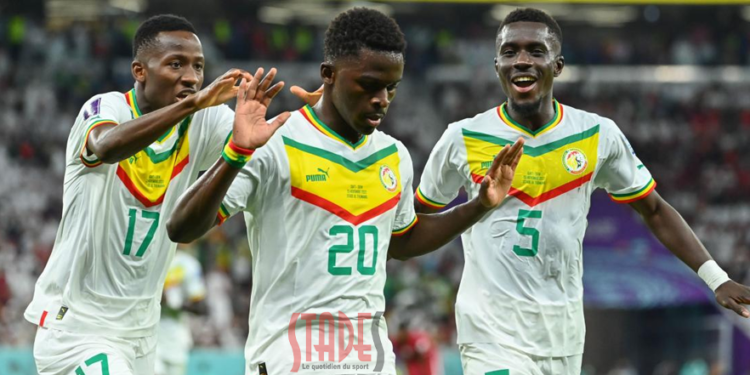 Dernier à rejoindre la Tanière, comme en 2022 : Bamba Dieng, le porte-bonheur des Lions ?