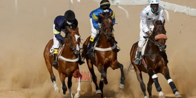Courses hippiques -2ème journée : Kharé et Diofior confirment, Baakh 2 crée la surprise