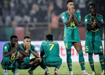 Lions-du-Sénégal 3