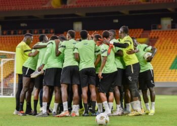 stages lion du senegal