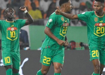 Des Lions brouillons !