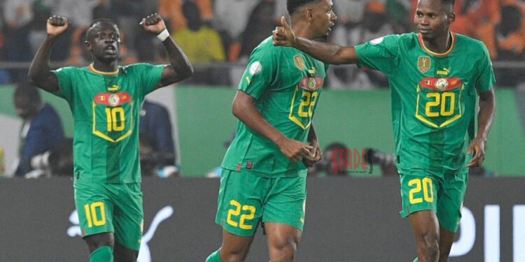 Des Lions brouillons !