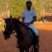 Joachim Mendy Sport Equestre