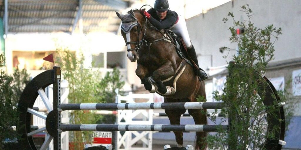 equestre