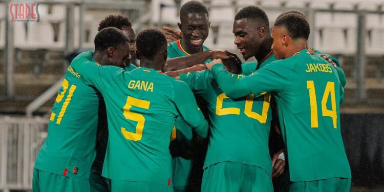 senegal-echos-des-lions