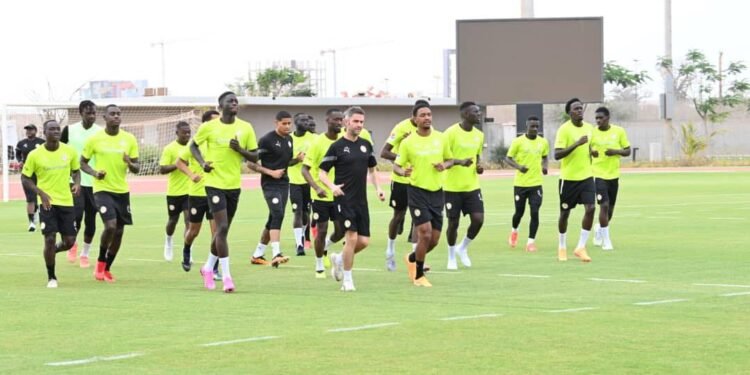 Sénégal | RDC | 4ᵉ galop des Lions : Cissé poursuit le job sans sa colonne vertébrale