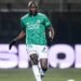 cheikh ndoye red stard
