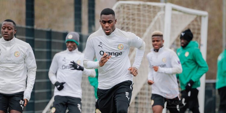 stages-equipe-du senegal