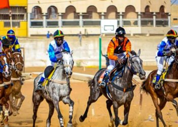 COURSES HIPPIQUES20