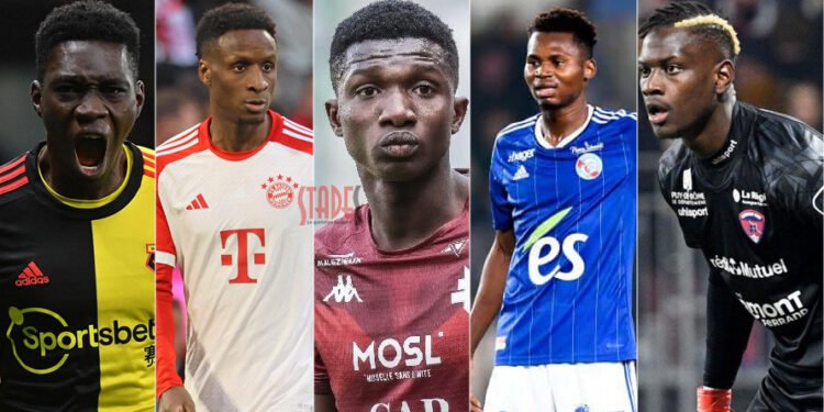 mercato des lions du senegal
