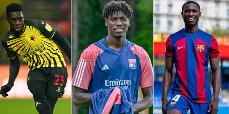 mercato des lions du senegal01